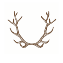 Forrest logo